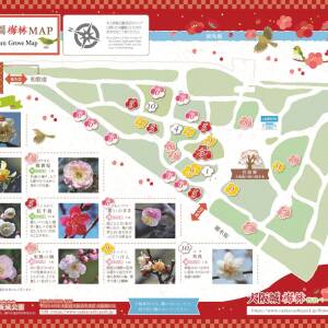 大阪城公園梅園MAP