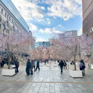 3/20-23 なんばSAKURA MUSIC FES（なんさん通り）