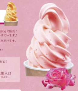 5/3-5/25 春のローズウィーク（長居植物園）
