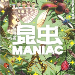 7/12-9/23 昆虫MANIAC（大阪市立自然史博物館）