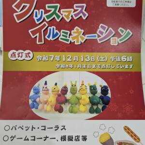 東上町公園クリスマスイルミネーション