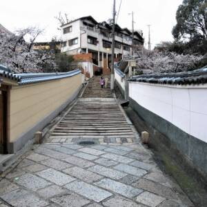 「上町台地」名所図会第60回　天王寺七坂（大阪市天王寺区）